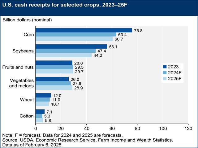 USDA figures (forecasts for 2024 and 2025) show how some sectors of the ag economy can feel like they&#039;re in recession while others don&#039;t. The same sector-by-sector breakdown is true for the national economy. (USDA Economic Research Service/DTN graphic)